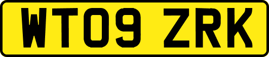 WT09ZRK