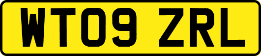 WT09ZRL