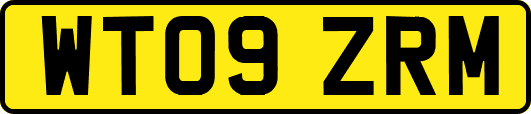 WT09ZRM