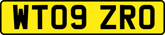 WT09ZRO