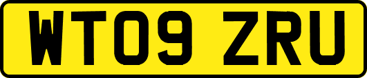 WT09ZRU