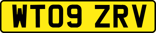 WT09ZRV