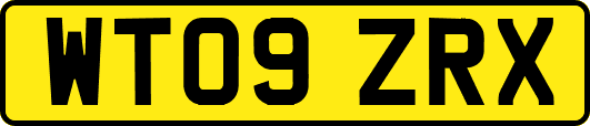 WT09ZRX
