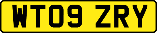 WT09ZRY