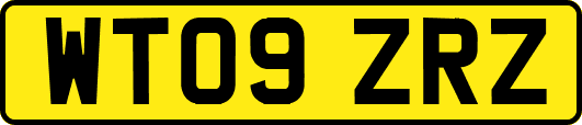 WT09ZRZ