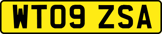 WT09ZSA