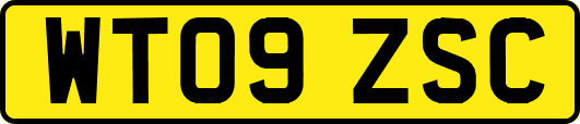 WT09ZSC