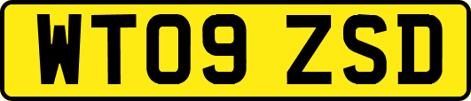 WT09ZSD