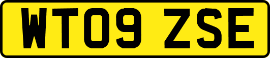 WT09ZSE