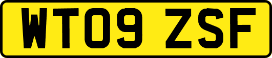 WT09ZSF