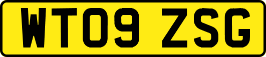 WT09ZSG