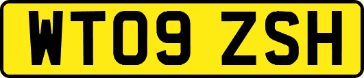 WT09ZSH