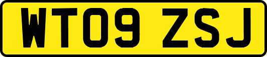 WT09ZSJ