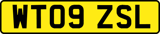 WT09ZSL