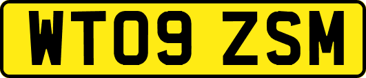WT09ZSM