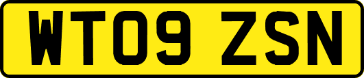 WT09ZSN