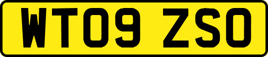 WT09ZSO