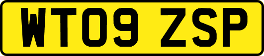 WT09ZSP