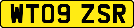 WT09ZSR
