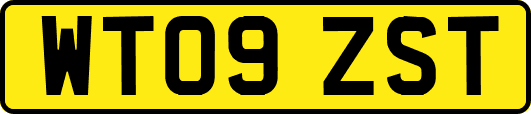 WT09ZST