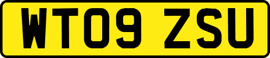 WT09ZSU