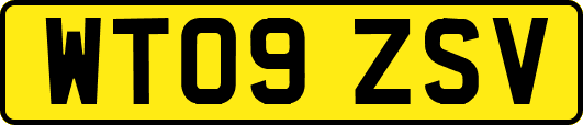 WT09ZSV