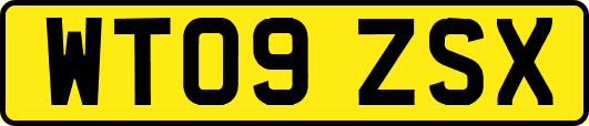 WT09ZSX