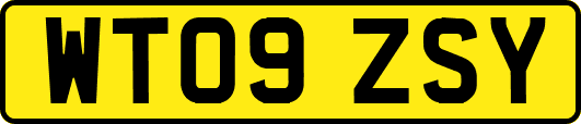 WT09ZSY