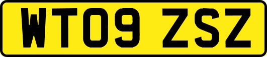 WT09ZSZ