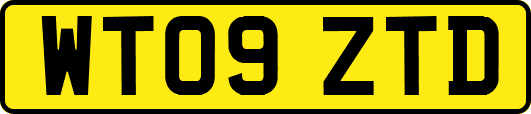 WT09ZTD