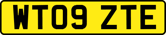 WT09ZTE