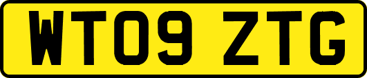 WT09ZTG