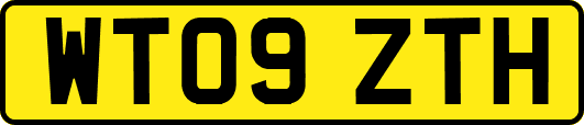 WT09ZTH