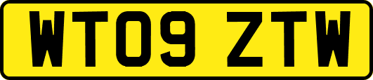 WT09ZTW