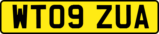 WT09ZUA