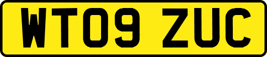 WT09ZUC