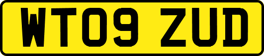 WT09ZUD