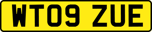 WT09ZUE