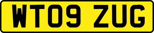 WT09ZUG