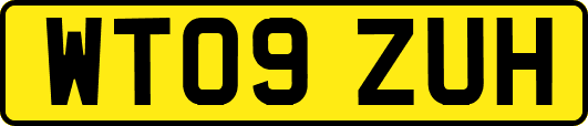 WT09ZUH