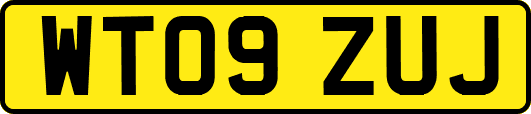 WT09ZUJ