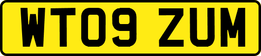 WT09ZUM