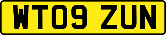 WT09ZUN