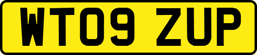 WT09ZUP