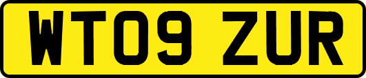 WT09ZUR