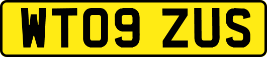 WT09ZUS