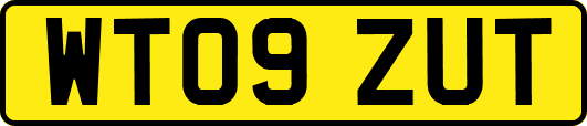 WT09ZUT