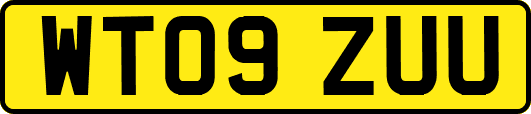 WT09ZUU