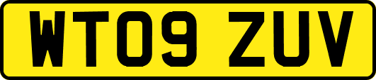 WT09ZUV