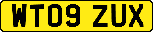 WT09ZUX